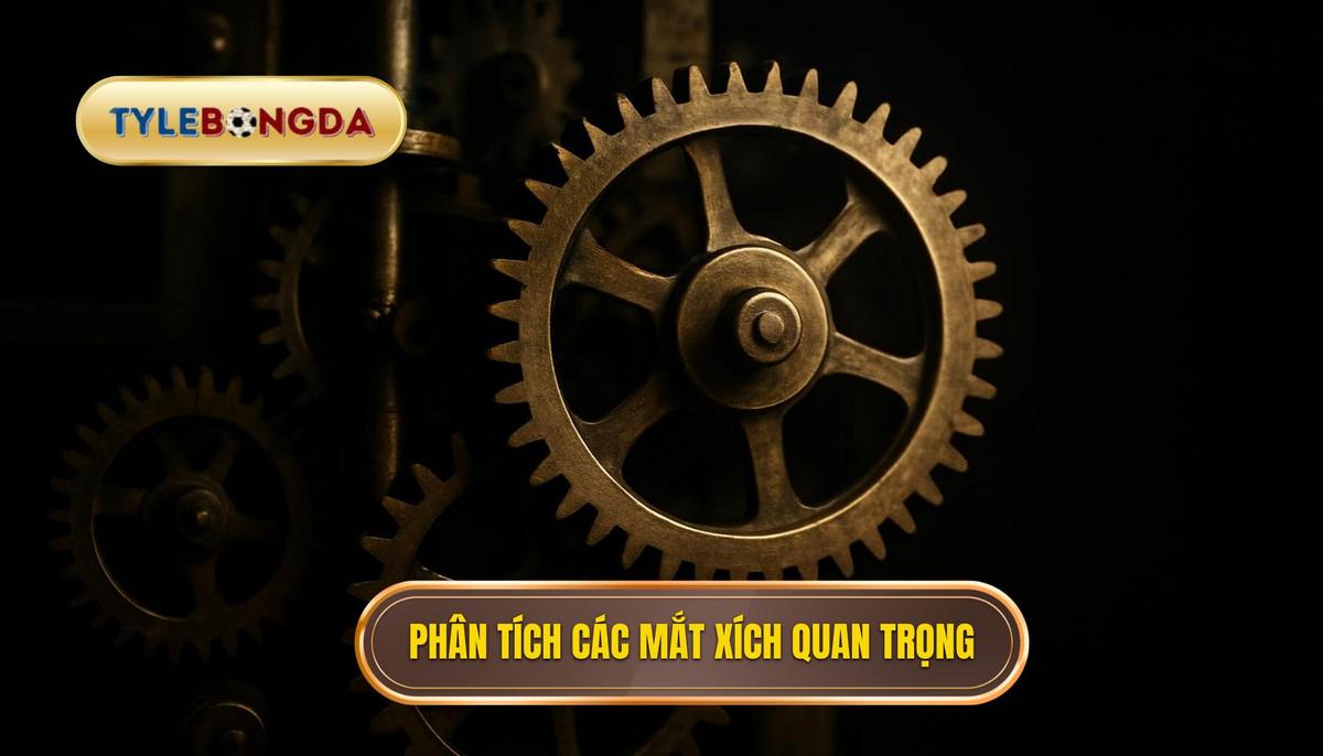 Phân tích chuyên sâu các mắt xích quan trọng